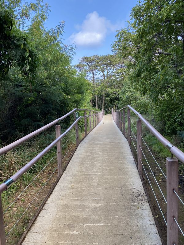 Footpath Renovation Service